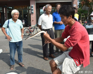 滑溜的鰻魚試圖從民眾手中掙脫。（記者郭春輝攝）