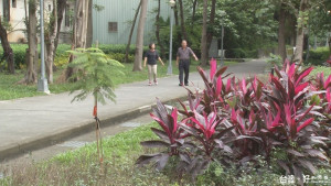 三重永發里森林公園　古木參天鳥語花香