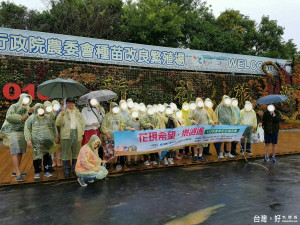 台中市精神衛生基金會帶精障病友及家屬逛花海，解以紓解照護者的生活壓力並促使精障病友社會接觸。