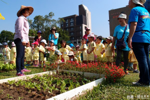 東榮里鄭玉梅里長帶領幼童參觀田園農場，實踐綠色教育。