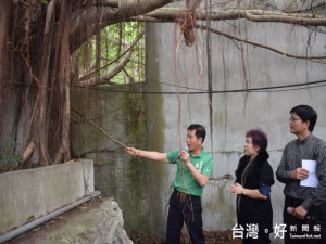 大甲國中北側老舊圍牆被巨樹推擠，嚴重威脅學校師生及活動安全，

六日市議員吳敏濟協得教育局副局長許春梅及市府局室之辦官員會勘

後，決定迅以重建新圍牆。（記者陳榮昌攝）