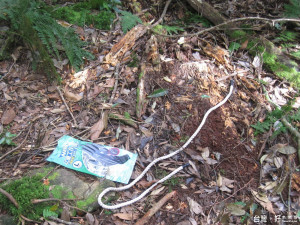 東勢林區管理處要求限期清除現場遺留垃圾，若逾期未清除，則依森林法規定開罰。〈圖／東勢林區管理處提供〉