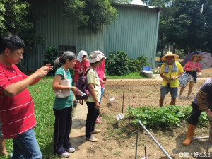 臺中市府環保局開闢環保農園，開放市民申請。