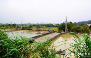 鎮興里客家生態埤圳生活空間以及大坑缺溪客家公園，成為平鎮獨特的親水綠帶。