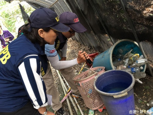 ▲高雄市政府防疫團隊於現場捕獲大量病媒蚊。（圖／記者許凱涵攝）