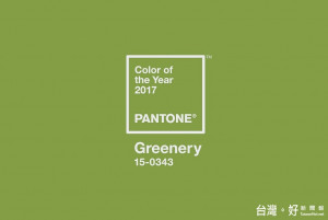 Pantone日前選出「草木綠」（色票號碼15-0343），成為2017年的代表顏色。（圖／Pantone YouTube）