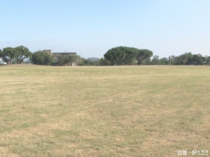 城市藏大草原 樹林頭花海成綠地