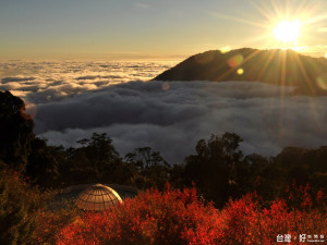 大雪山國家森林遊樂區內，壯闊的雲海、絢麗晚霞等氣象變化萬千，楓紅景色如詩如畫。（圖／東勢林區管理處提供）