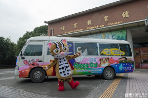石虎保育大使--阿虎和集集彩繪保育巴士。〈記者吳素珍攝〉