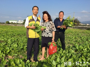 今年一例一休上路後，田園中出現拔菜休閒人潮，感嘆在嚴訂的政策

下，想打工多賺點也很難找到。（記者陳榮昌攝）