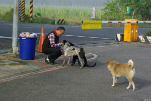 康寧大學台南校區的校犬與守衛人員互動良好。