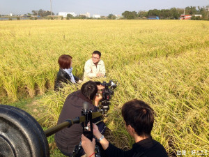 看見桃園的故事中陳雅琳主播所導的「水牛來了」讓我們看見曾經在政壇叱吒風雲的羅文嘉，回到出生地新屋，利用自己的力量完成兒時的夢想並企圖縮減城鄉的差距