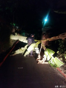 深夜小巷弄巡邏 警移開倒臥路樹確保民眾行車安全