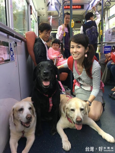 台北市假日狗狗友善公車受好評，將延長試辦行駛至5月底。(圖／資料照片，雪兒提供)