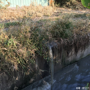 古坑鄉東和地區某養豬業者埋管排放糞水，惡臭難聞惹民怨舉報裁罰。（記者簡勇鵬拍攝）