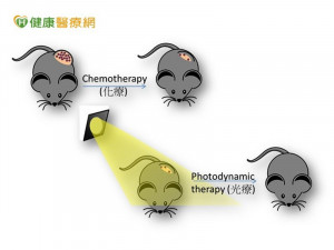 抗癌新療法　興大提出化療與光療雙效劑型