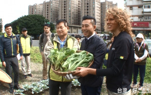 採收長年菜、做酵素 各區推展食物森林