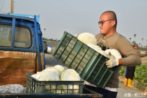 黃子桓把種植成果搬上車，雖費力，但滿心歡喜。（記者郭春輝攝）