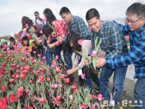 三十餘位啟明與惠明學生在后里中社花市用心、鼻子及手來賞花，並

高興的把將凋零的花替換，臉龐出現笑容不退，顯出他們滿意的心境

。（記者陳榮昌攝）