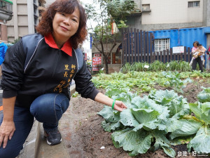 里長薛純良將髒亂空間改造為「複合式菜園」，種植蔬果供長者共餐加菜。（圖／記者黃村杉攝）