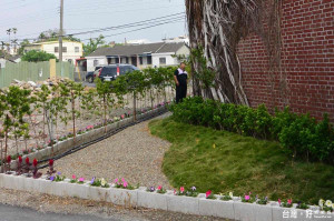 許下夢想清淨家園　林管處社區植樹綠美化展開申請