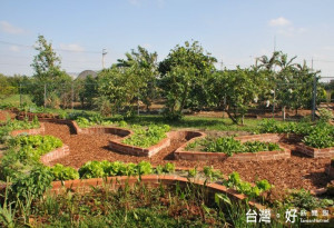 溪海幼兒園的「鑰匙孔水道菜園」。 
