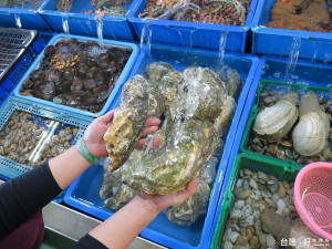 富基魚市除夕及春節連假期間不打烊，推出有數不清的活魚海鮮，更準備加拿大巨無霸生蠔等。（圖／記者黃村杉攝）