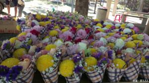 田尾鄉盆景花卉種類繁多　春節以平價銷售刺激買氣