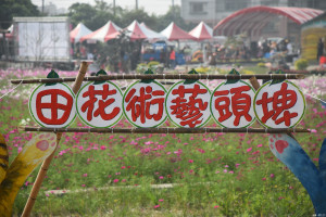 西螺埤頭藝術花田既美麗又有年味。（記者郭春輝攝）