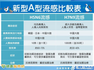 H5N6禽流感是什麼？　這些症狀要就醫