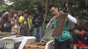 松山社大「城市養蜂課」　學員大開眼界