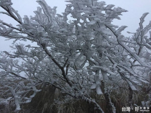 太平山今天清晨下雪了！（圖／太平山國家森林遊樂區臉書專頁）