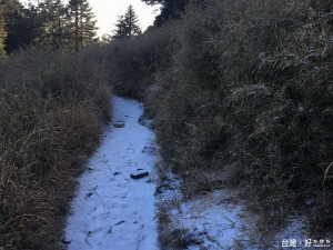 受強烈大陸冷氣團影響，雪山登山步道已見薄積雪。（圖／雪霸志工林義成攝、保七總隊第五大隊提供）