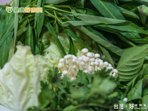 育齡女不吃深綠色蔬菜　恐因葉酸不足導致這後果