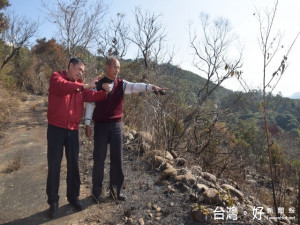 中市鐵砧山南麓二夜三天大火警，十餘公頃造林珍貴樹木被燒的業主

莊金土十四日會同消防第五大隊蔡大隊長同看災情時表示要向消防隊

員提出瀆職、賠償告訴。（記者陳榮昌攝）