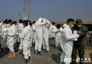 雲林縣後備指揮部支援縣府，出動百名兵力協助水林鄉一土雞案例場清運工作，守護人民的健康及安全。（記者陳昭宗拍攝）