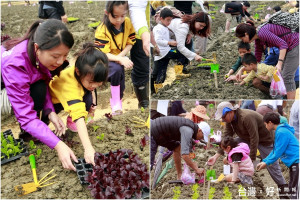 綠博佃佃小農共享種菜趣。（圖／記者陳木隆攝）