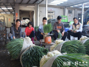 財政系碩士畢業的青年黃睿祥及大學資工系畢業的弟弟黃紀為體恤父

母辛勞，加上在大安種植有前途下，雙雙於畢業後返鄉投入務農工作

，高學歷務農成為地方美談。（記者陳榮昌攝）
