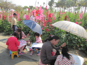 「2017唸戀學甲蜀葵花文化節」寫生比賽，225在蜀葵花田舉辦，圖為前年比賽盛況。（記者邱仁武檔案照片）
