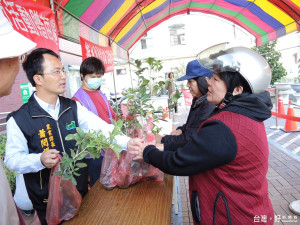 社頭鄉慶祝植樹節　發放桂花、茶花給民衆美化環境