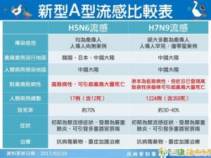 首例H7N9境外移入　恐為新基因型！