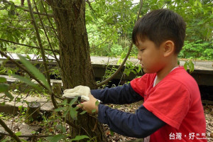 小朋友學修枝。（圖／羅東林管處提供）