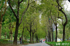 資料照（圖／台北市公園處）