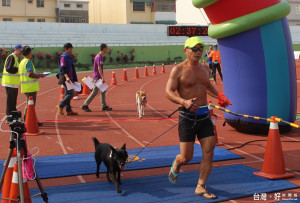 犬將「檸檬和饅頭」也完成半馬全程（記者簡勇鵬拍攝）