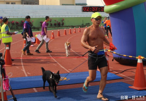 來自屏東的跑將主人黃獻文帶領破百次的犬將「黃檸檬」也帶著首次參賽的「黃饅頭」跑完半馬。（記者陳昭宗攝）