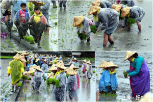 2017綠博早鳥優惠票熱賣中。（圖／記者陳木隆攝）