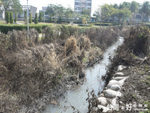 大甲區溪北地區日南公園草木青翠，環境優雅，是居民休閒運動好場

地，可惜橫越公園水溝卻久疏於管理，導致泥土淤積又傳臭味，讓居

民休閒中倒胃口。（記者陳榮昌攝）