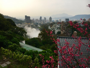 少帥禪園的櫻花、地熱、遠眺台北盆地，可一次看足。(吳光中/攝)