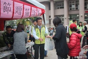 鹿港鎮長黃振彥一早在公所前廣場服務，將樹苗送給排隊民眾。