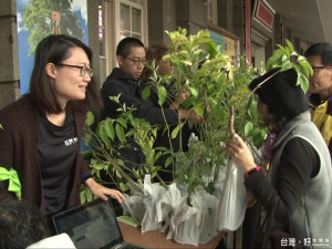 火車站前發樹苗 散布綠色新希望